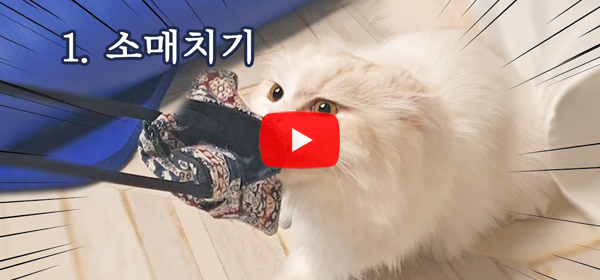 [냥꼬리 19thfloorcats] 냥꼬리네 애교의 하..